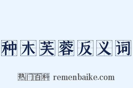 种木芙蓉反义词是什么意思的图片